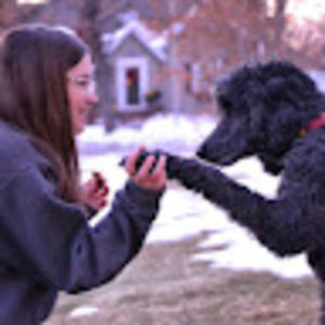 Meet your Posher, Madilyn s